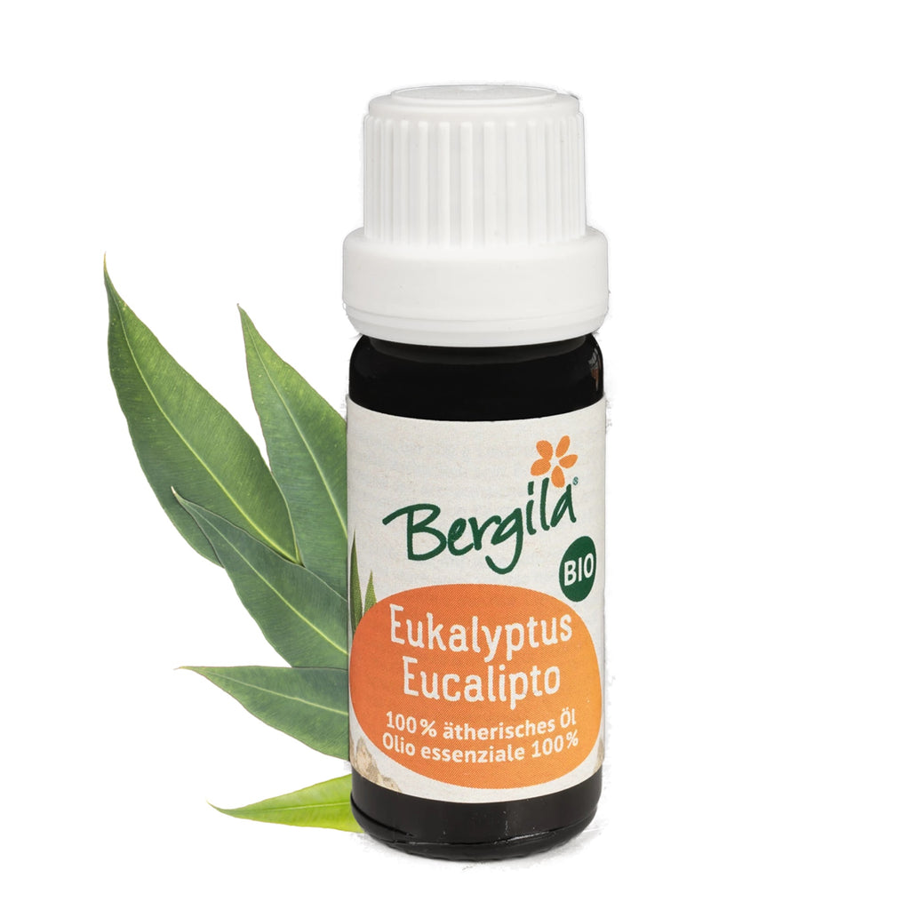 Eukalyptus - BIO ätherisches Öl (30ml)